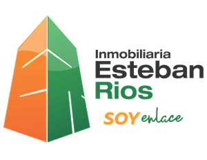 logo ier