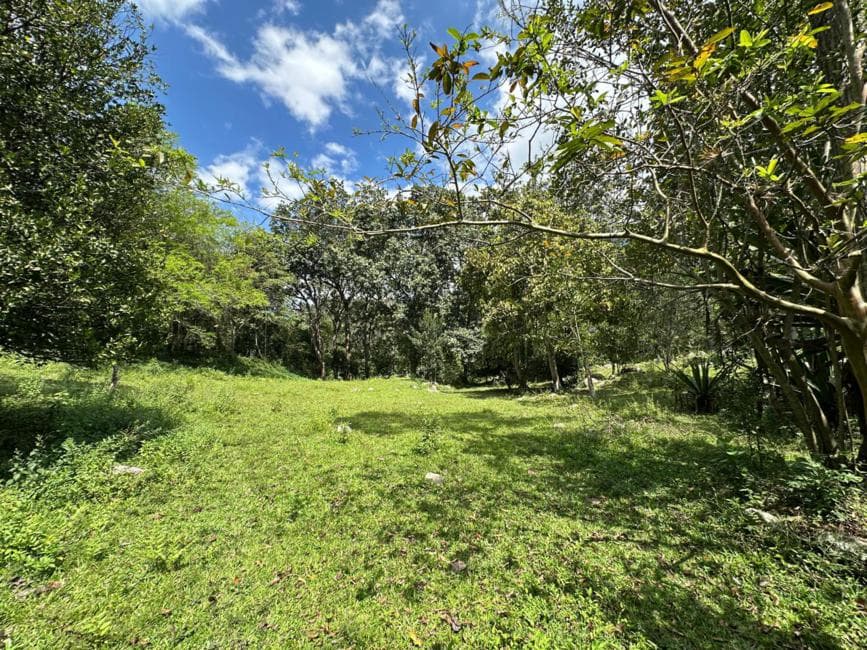 LOTE en VENTA en LOS CUROS